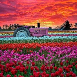 I love offers!🌷☺️👍🏼